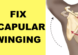 how to fix scapular winging winged scapula exercises